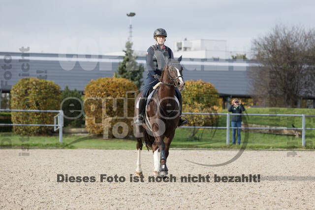 IGV Lehrgang der Sieger der Cups mit Frank Ostholt