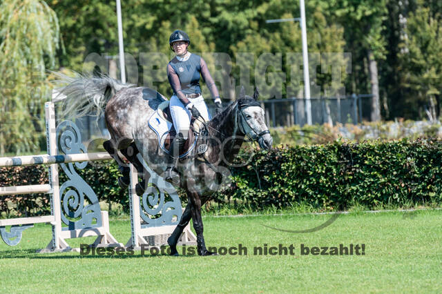 Kronenberg - De Peelbergen (August 2020)