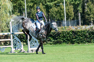 Kronenberg - De Peelbergen (August 2020)