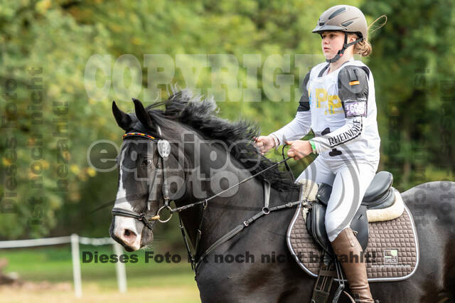 Vielseitigkeit RSV Wesel Obrighoven (26.+27.09.2020)