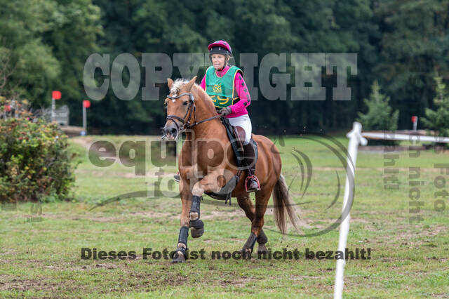 Vielseitigkeit RSV Wesel Obrighoven (26.+27.09.2020)