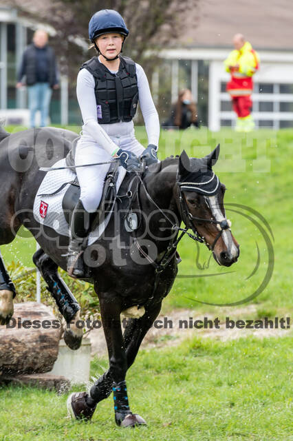 Goldene Schärpe 2020 - Pferde