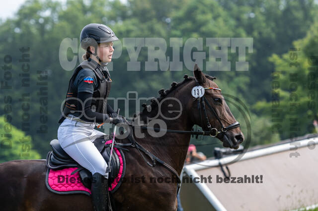 Goldene Schärpe 2021 - Ponys