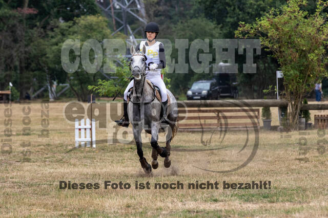 Late-Entry Vielseitigkeit Hamminkeln/Wesel (01.+02.08.2020)