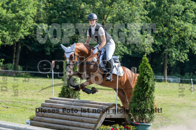 Goldene Schärpe 2021 - Ponys
