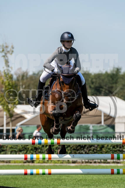 Kronenberg - De Peelbergen (August 2020)