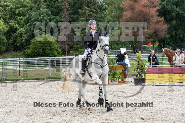 Late-Entry-Vielseitigkeit Langenfeld (06.+07.07.2020)