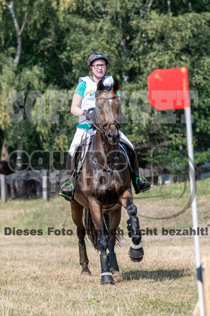 Late-Entry Vielseitigkeit Hamminkeln/Wesel (01.+02.08.2020)