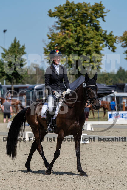 Kronenberg - De Peelbergen (August 2020)