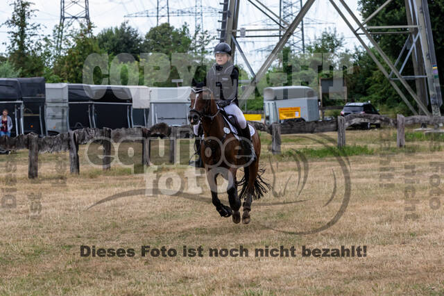 Late-Entry Vielseitigkeit Hamminkeln/Wesel (01.+02.08.2020)