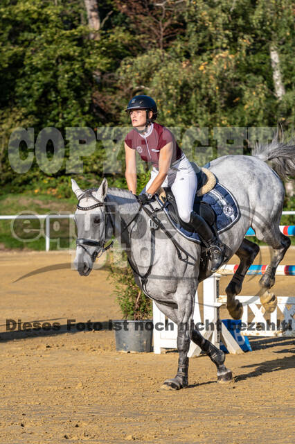 RFV Dinslaken-Hiesfeld (Herbstturnier)