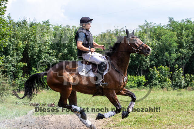Late-Entry-Vielseitigkeit Gahlen (18.07.2020)