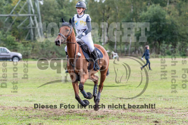 Vielseitigkeit RSV Wesel Obrighoven (26.+27.09.2020)