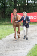 FEI European Championship Eventing 2017