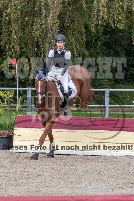 Goldene Schärpe 2020 - Pferde