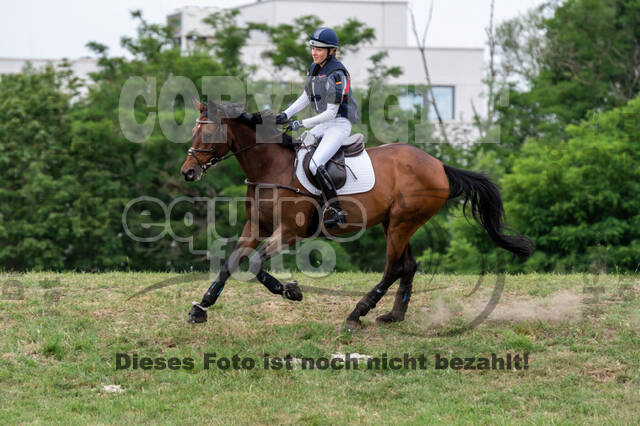 Late-Entry-Vielseitigkeit Langenfeld (11.+13./14.06.2020)