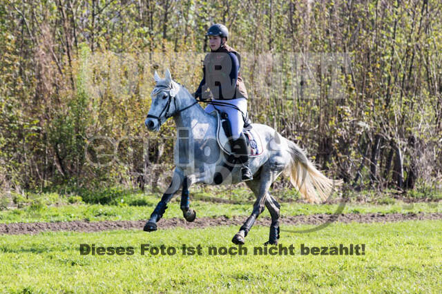 Vielseitigkeitsturnier RV Lippe-Bruch-Gahlen