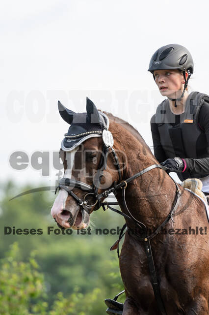 Goldene Schärpe 2021 - Ponys