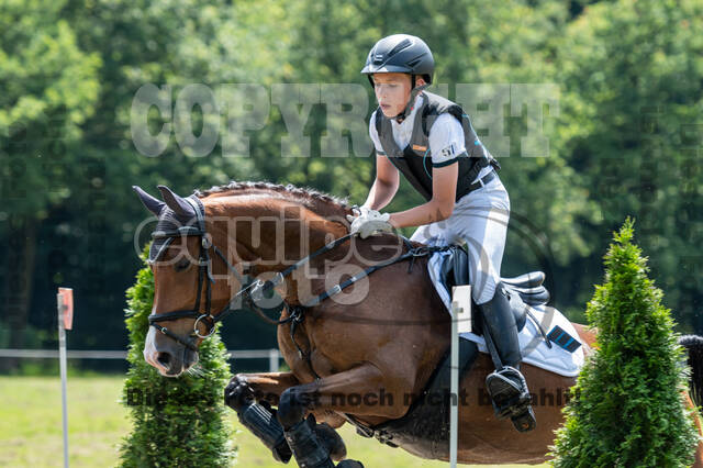 Goldene Schärpe 2021 - Ponys