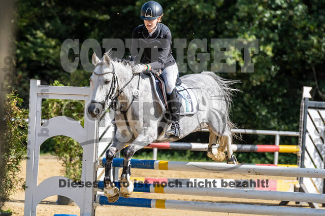 RFV Dinslaken-Hiesfeld (Herbstturnier)