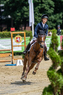Goldene Schärpe 2021 - Ponys