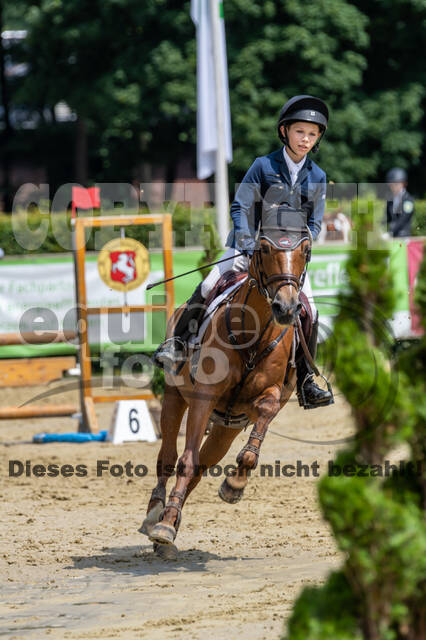 Goldene Schärpe 2021 - Ponys
