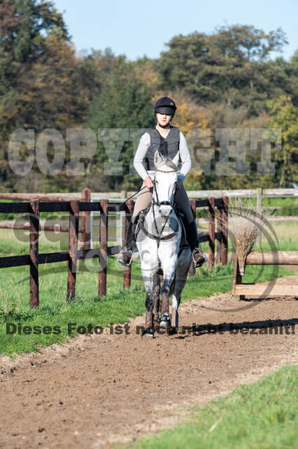 Vielseitigkeitslehrgang mit Jürg Kurbel (9.+10.11.2019)