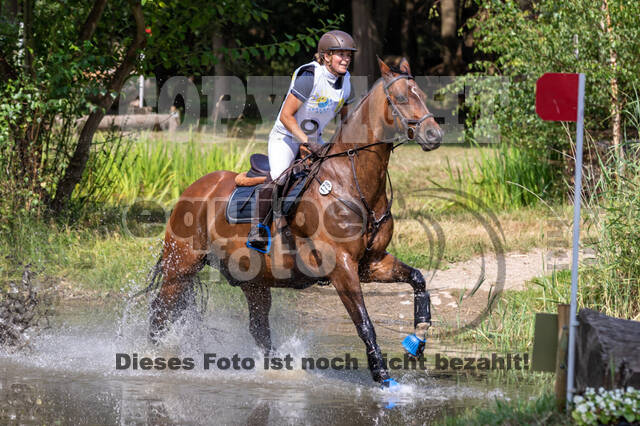 Late-Entry Vielseitigkeit Hamminkeln/Wesel (01.+02.08.2020)