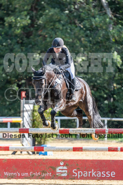 RFV Dinslaken-Hiesfeld (Herbstturnier)
