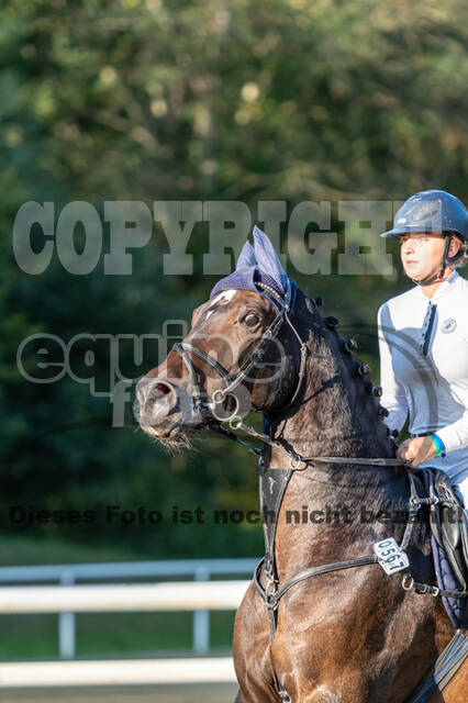 RFV Dinslaken-Hiesfeld (Herbstturnier)