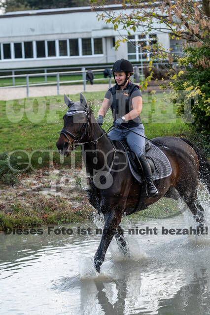 IGV Lehrgang der Sieger der Cups mit Frank Ostholt