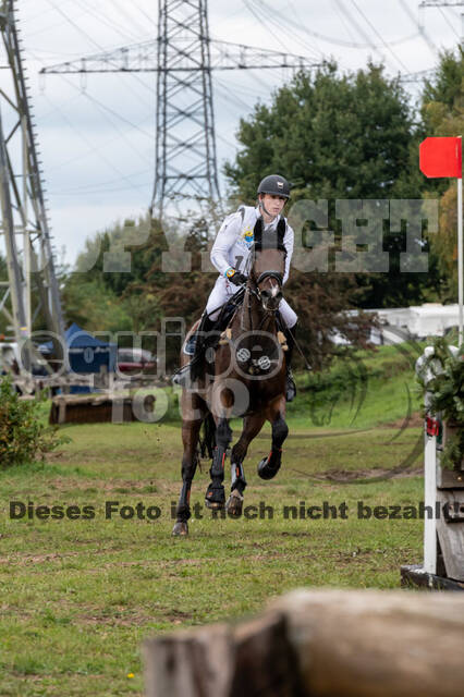 Vielseitigkeit RSV Wesel Obrighoven (26.+27.09.2020)