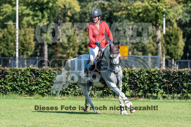 Kronenberg - De Peelbergen (August 2020)