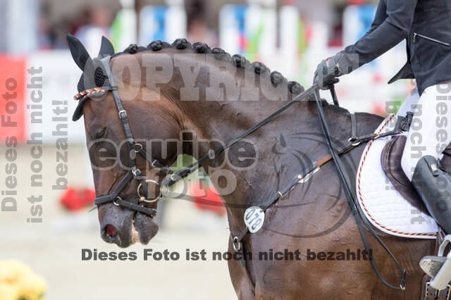 FEI European Championship Eventing 2017