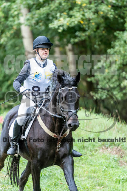 Vielseitigkeit RSV Wesel Obrighoven (26.+27.09.2020)