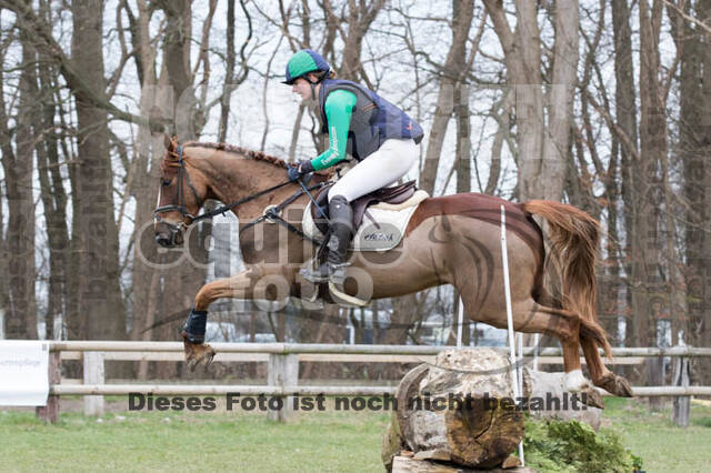 Jungpferdetag Hamminkeln