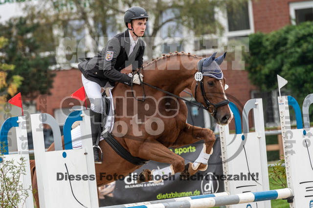 Goldene Schärpe 2020 - Pferde