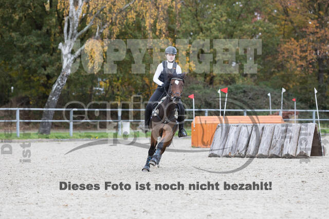IGV Lehrgang der Sieger der Cups mit Frank Ostholt