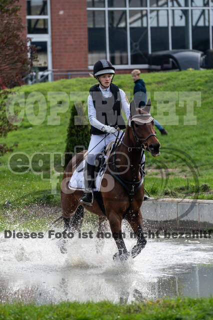 Goldene Schärpe 2020 - Pferde