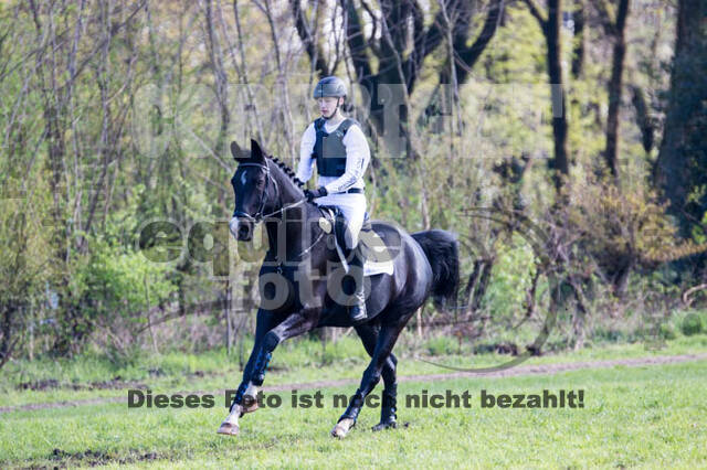 Vielseitigkeitsturnier RV Lippe-Bruch-Gahlen