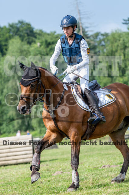 Goldene Schärpe 2021 - Ponys