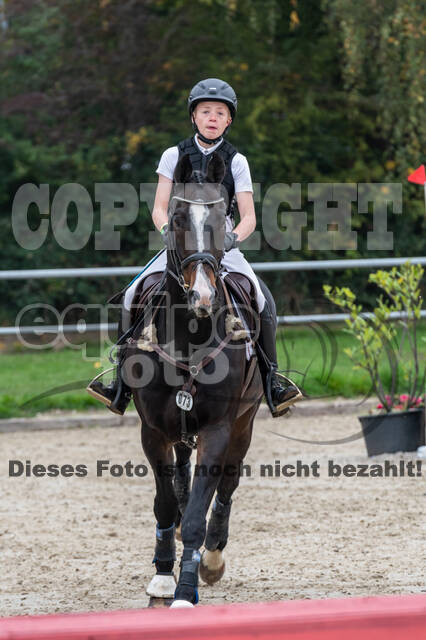 Goldene Schärpe 2020 - Pferde