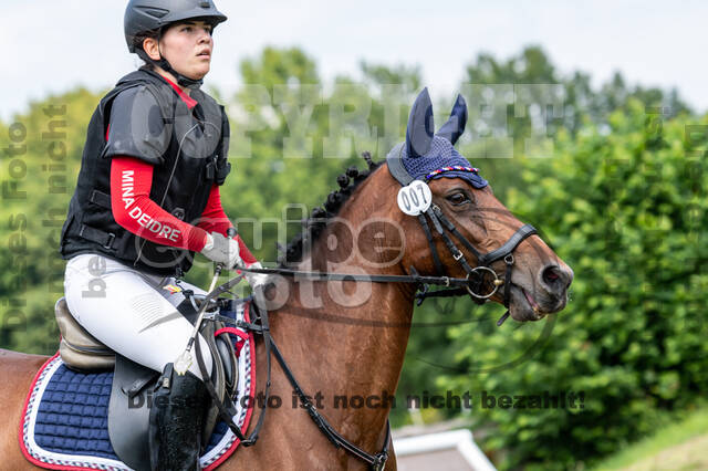 Goldene Schärpe 2021 - Ponys
