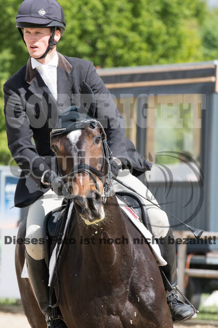 Sterne über Münster 2019 - CCI***S