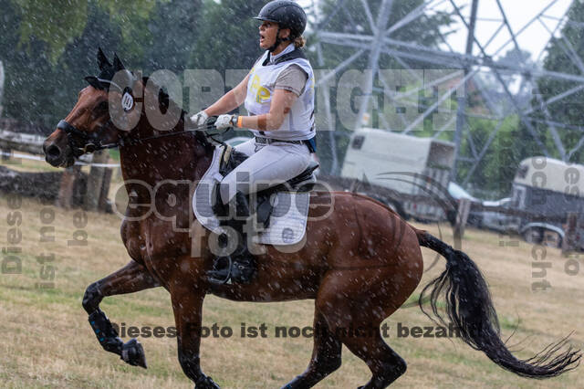 Late-Entry Vielseitigkeit Hamminkeln/Wesel (01.+02.08.2020)