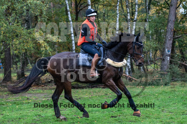 Training Bettina Hoy (01.11.2020)