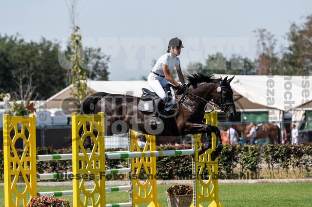 Kronenberg - De Peelbergen (August 2020)