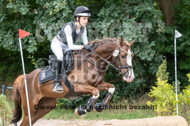 Late-Entry-Vielseitigkeit Langenfeld (06.+07.07.2020)