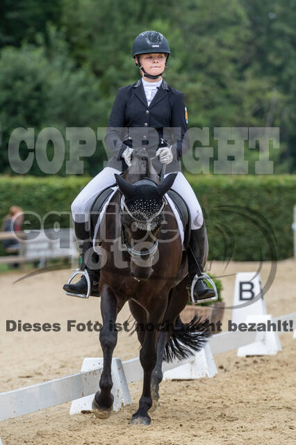 Goldene Schärpe 2021 - Ponys