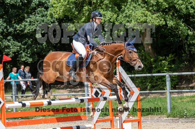 Late-Entry-Vielseitigkeit Langenfeld (06.+07.07.2020)